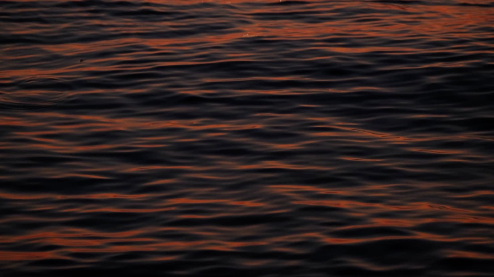 Copper light reflected across dark water
